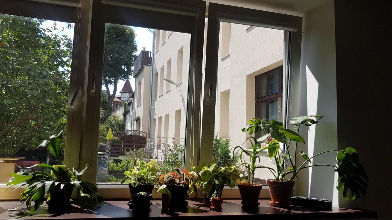 Spoko Hostel Gdańsk Eksteriør bilde